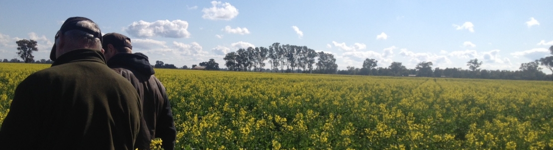 GIAV Oct 23 Meeting and Production Outlook GIAV Oct 23 Meeting and Production Outlook