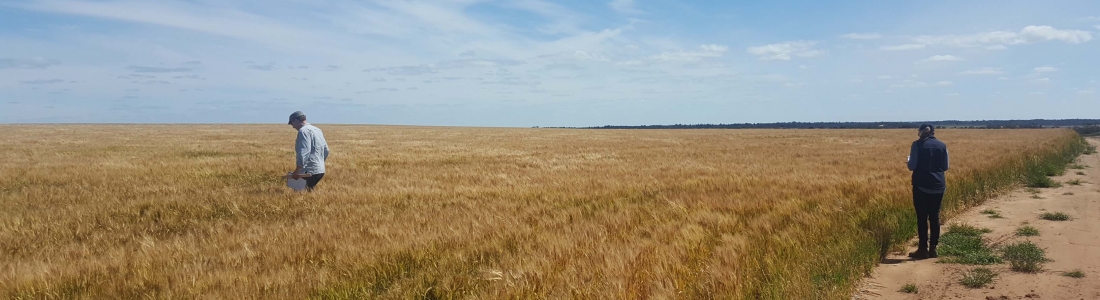 2016 Crop Tour – Sponsored by Perkins & Co Resources 2016 Crop Tour – Sponsored by Perkins & Co Resources