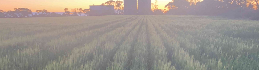 Post Harvest Meeting – 14 Feb 2020 Post Harvest Meeting – 14 Feb 2020