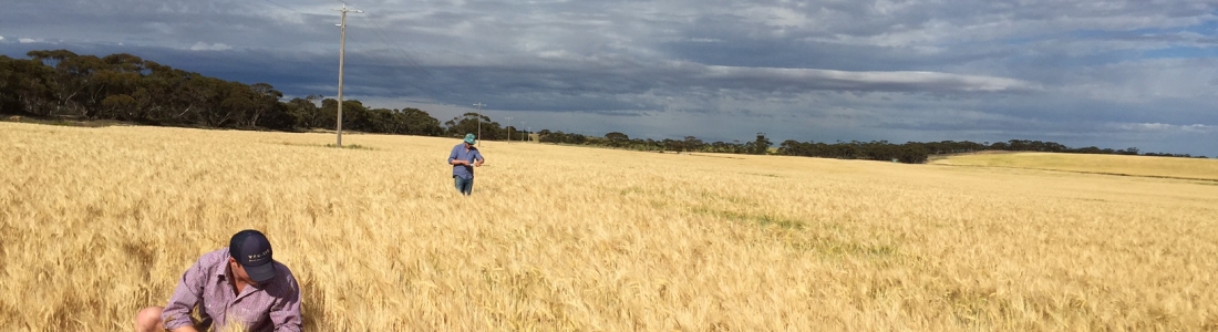2017 Crop Tour – Sponsored by Perkins & Co Resources 2017 Crop Tour – Sponsored by Perkins & Co Resources