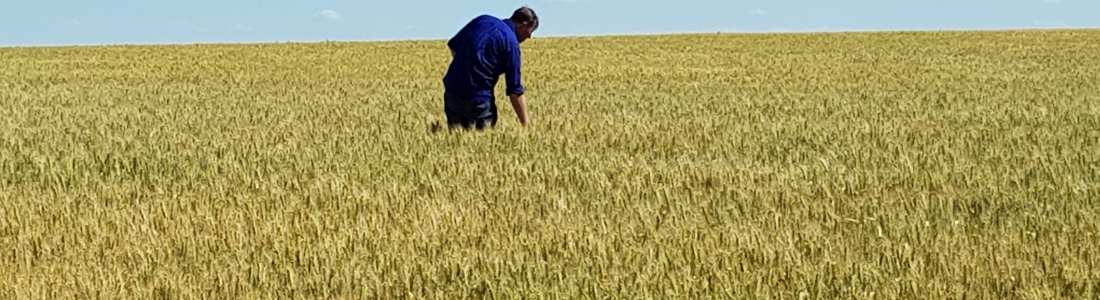 2019 GIAV Crop Tour – Sponsored by Perkins & Co Resources 2019 GIAV Crop Tour – Sponsored by Perkins & Co Resources