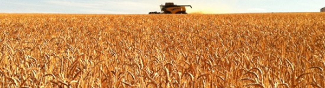 Concerns regarding the allocation of food grade shipping containers Concerns regarding the allocation of food grade shipping containers