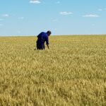 2020 GIAV Crop Tour – Sponsored by Perkins & Co Resources